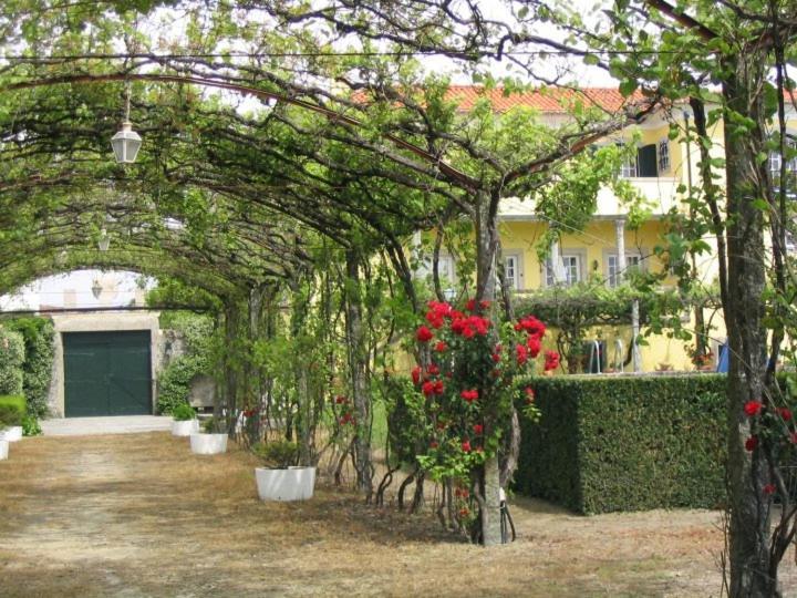 Casa/Apartamento De Hospedes Βιάνα ντο Καστέλο Εξωτερικό φωτογραφία